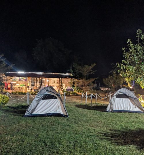 pxl 20241127 145853979