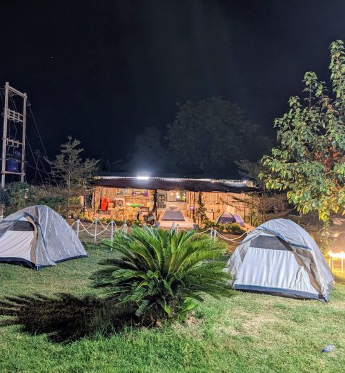 original b963c4e6 a887 4f27 81c2 7b5dcb03ba4c pxl 20241127 141715624.night